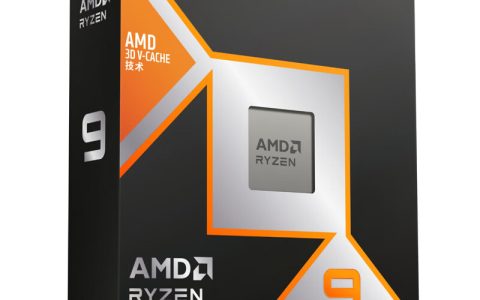 AMD 锐龙 9 9900X3D处理器