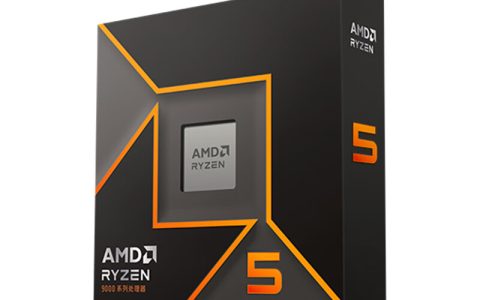 AMD 锐龙 5 9600X处理器